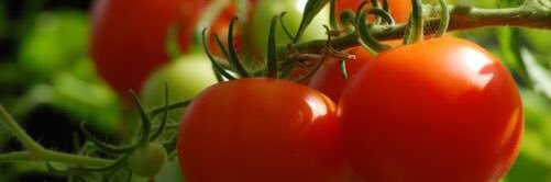 ANACOFERMEXICO's profile banner image