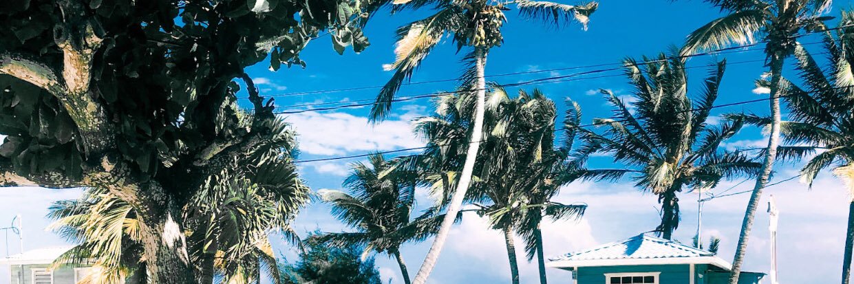 PicsOrItDidntHappen banner