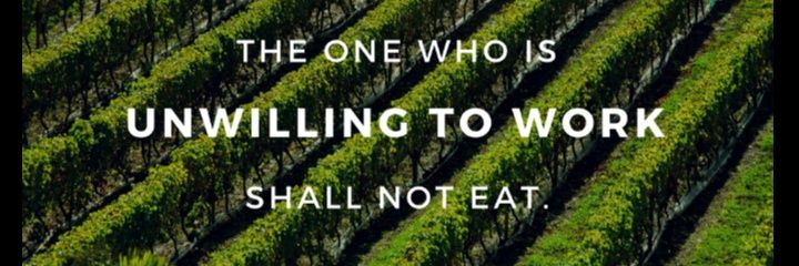 Dallas.rasmussen banner