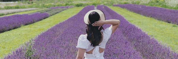 drlorainepinote Profile Banner