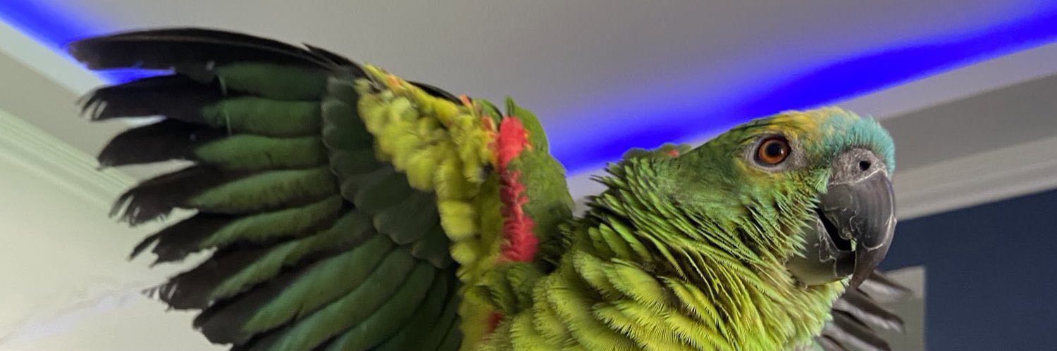 beccabjs_'s profile banner image