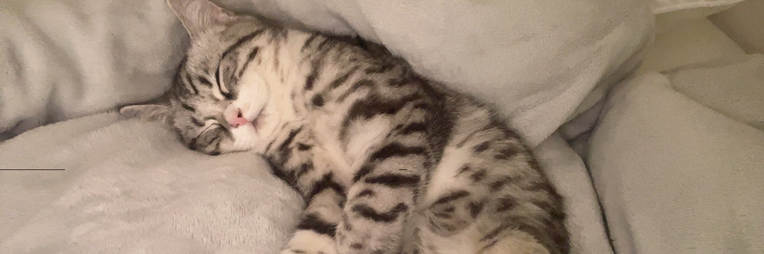 HAKU MILDROUS banner