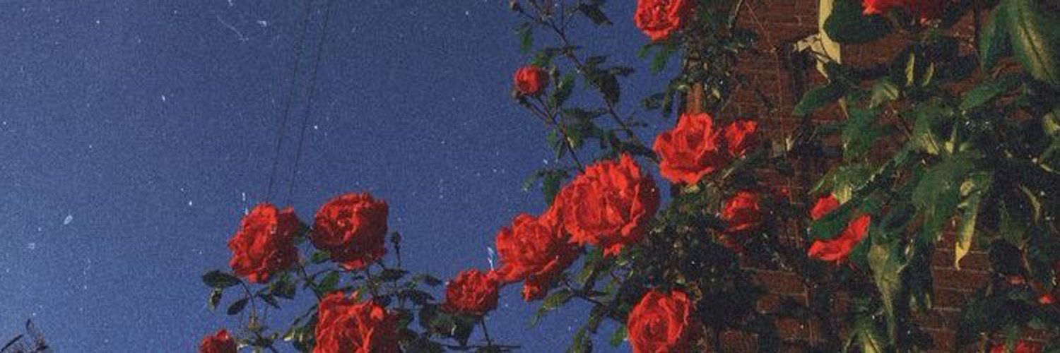 _floebee's profile banner image