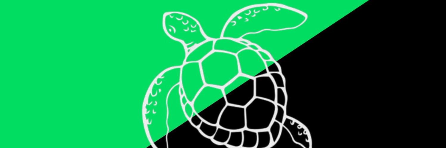 The Anarchist Turtle has moved to Bluesky🏴Ⓐ🔆's banner