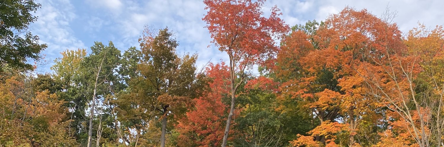 OntHealthySchools banner