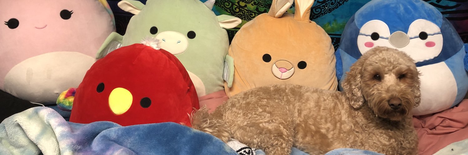 TLeniuk's profile banner image