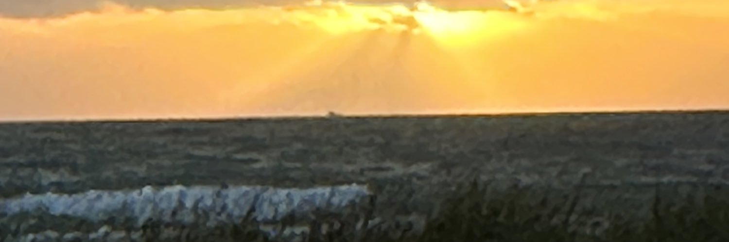 timwolfe305's profile banner image