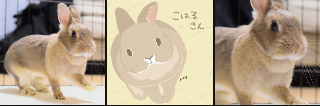こはるパパ's banner