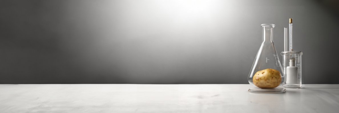 rkosai's profile banner image