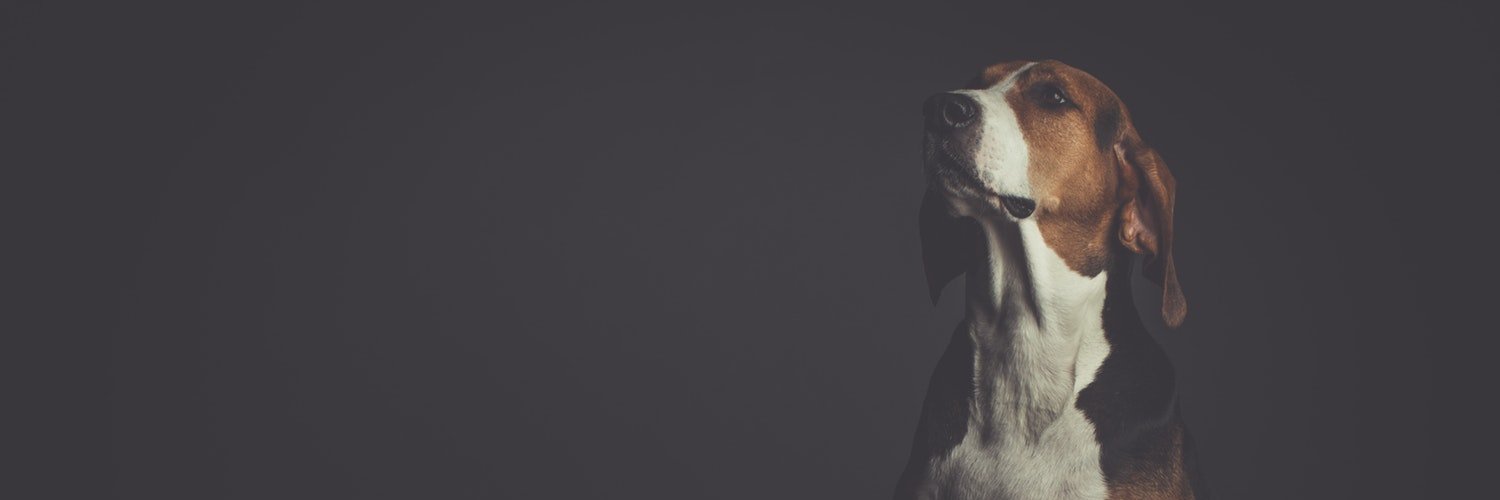 boostseo6's profile banner image
