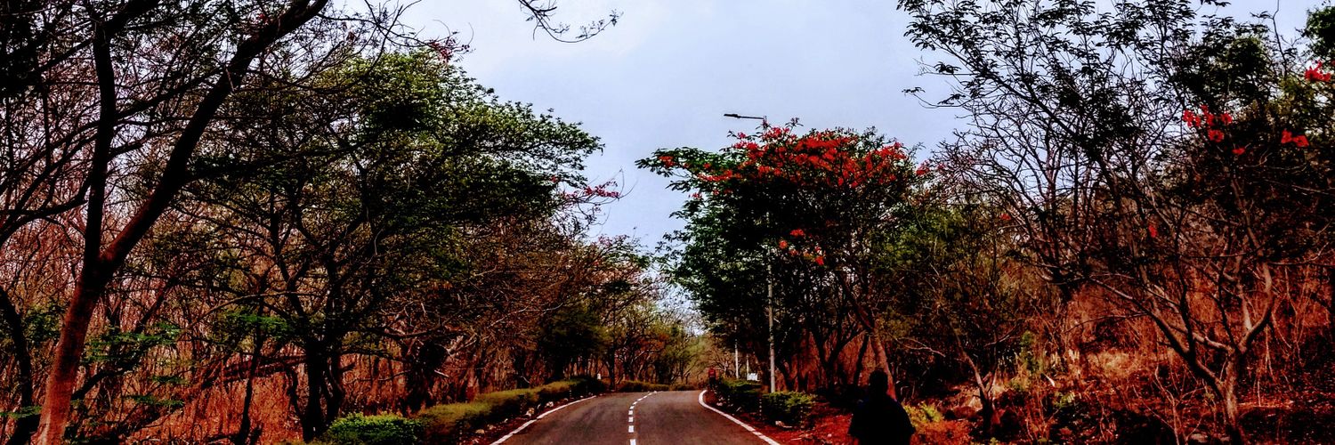 kaustubhmarkale's profile banner image