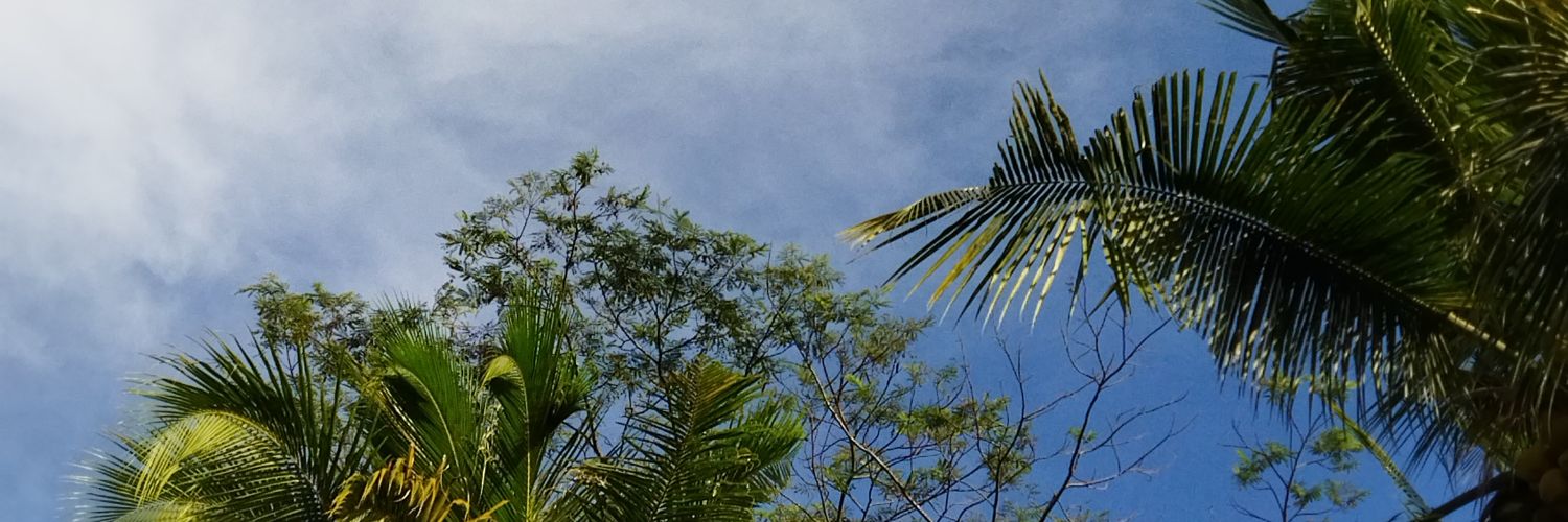 nonsens3e's profile banner image