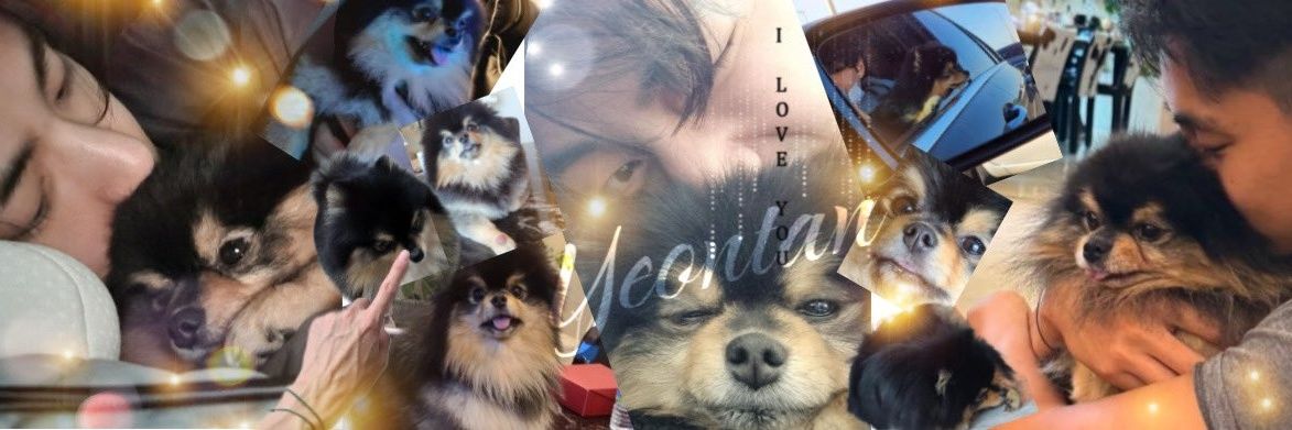 ひみちゃん🍓🍓·̩͙❅*☃︎𝕨𝕚𝕟𝕥𝕖𝕣 𝕒𝕙𝕖𝕒𝕕☃︎*❅·̩͙ banner