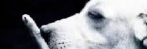 lilorishka Profile Banner