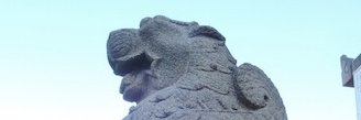 55samansa's profile banner image