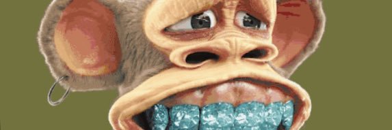 NFT-Steve banner