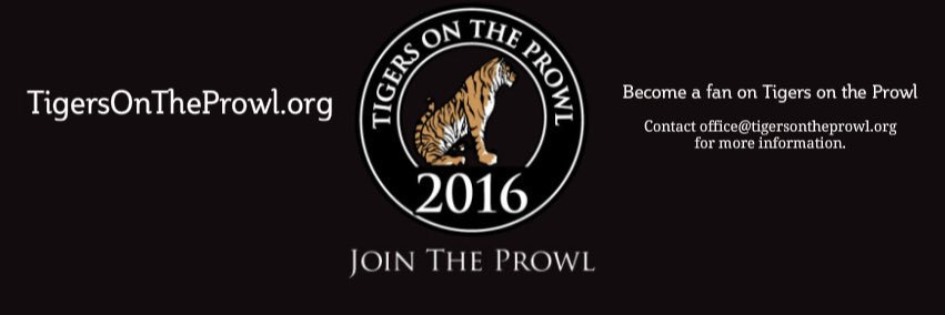 Tigers on the Prowl banner