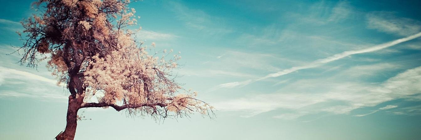 ariiesepthi's profile banner image