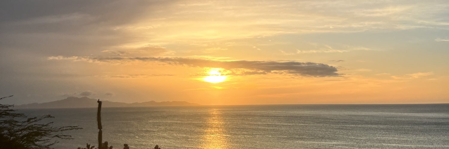 cocoyooland's profile banner image