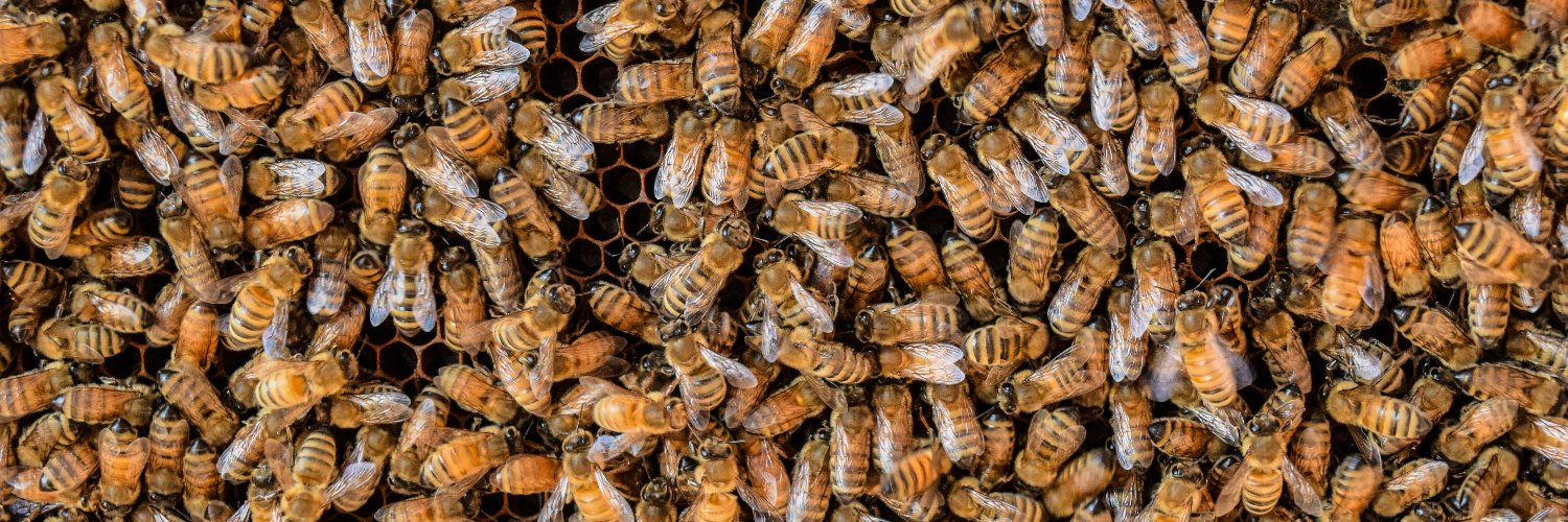 PSU Pollinators banner