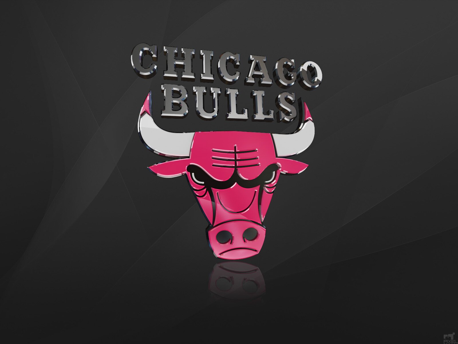 Bulls#1 banner
