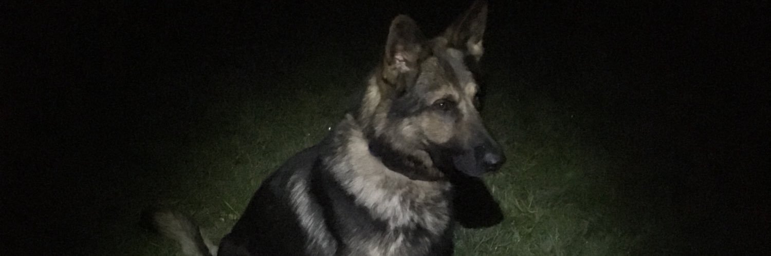 PD Merlin's banner