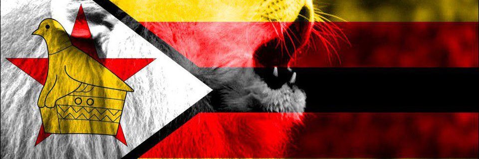 Shawn Tatenda💯 banner