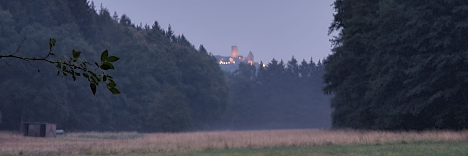 mlaeufer's profile banner image