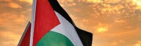 paquideacton's profile banner image