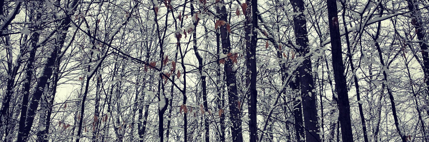 natashabood's profile banner image