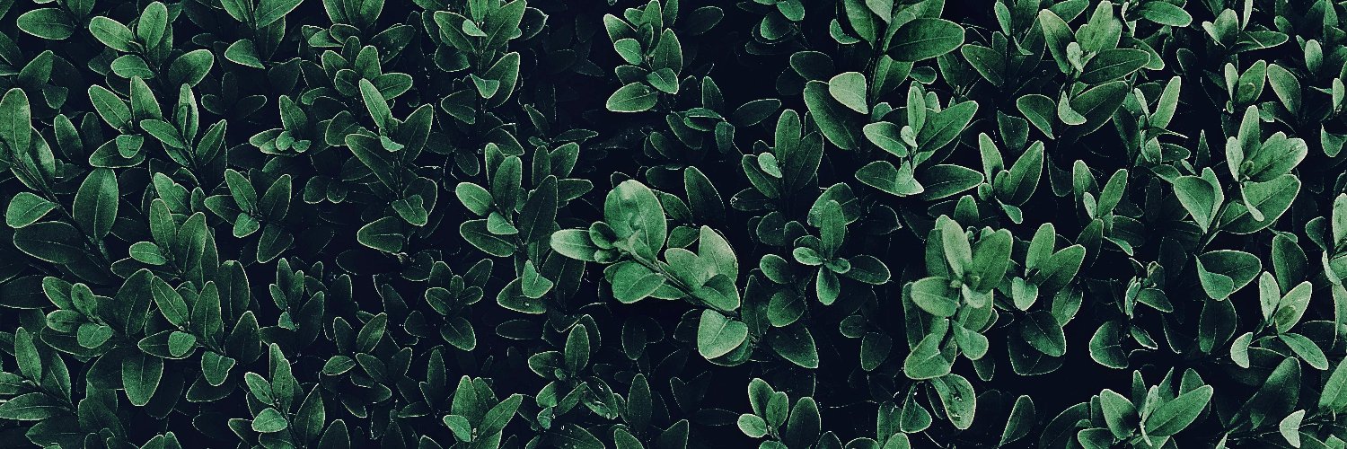 BoonsukKosol's profile banner image