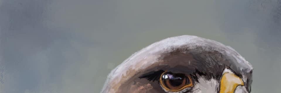 Leon Mike banner