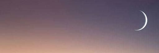 MeryScratch's profile banner image