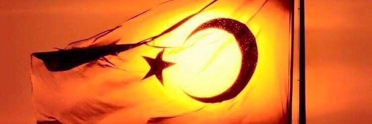madiucuk's profile banner image