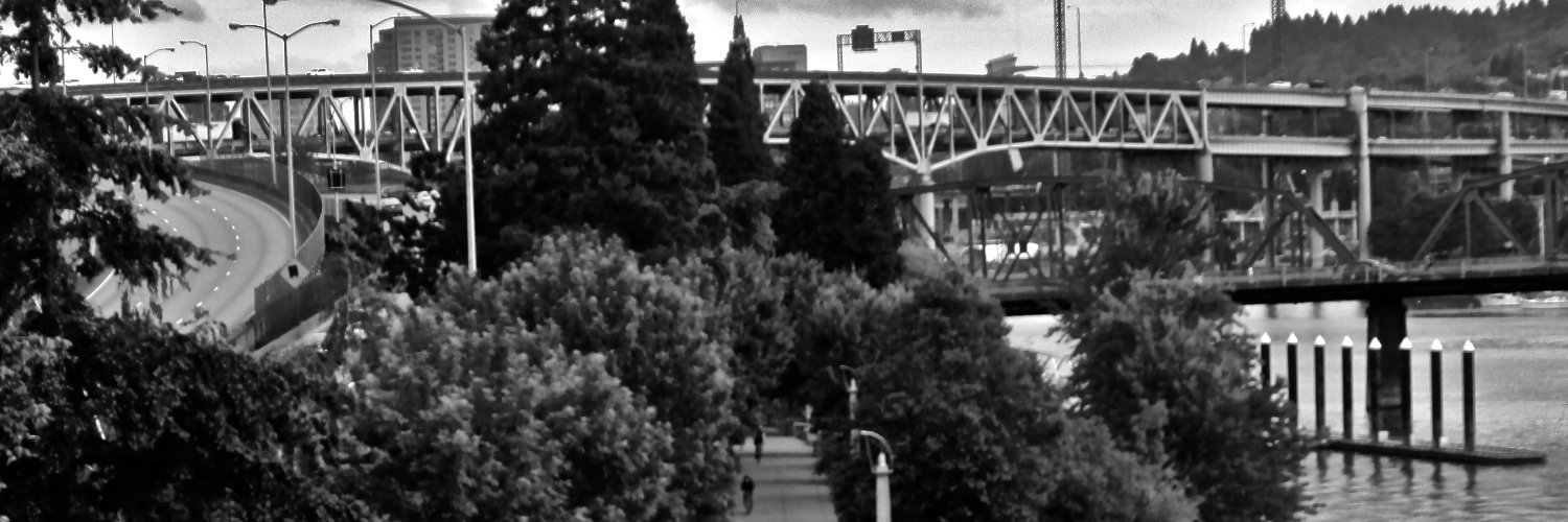 tracystreebel's profile banner image