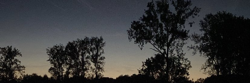 MD_Arno's profile banner image