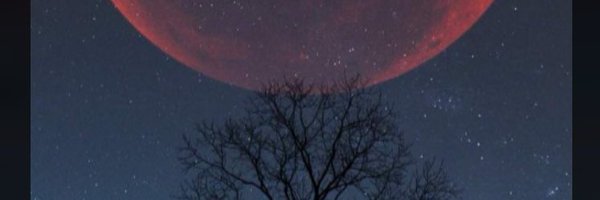 __Sylvain_____ Profile Banner