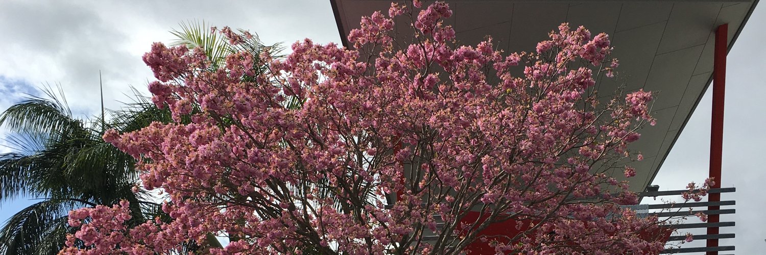 Paul O'Keeffe banner