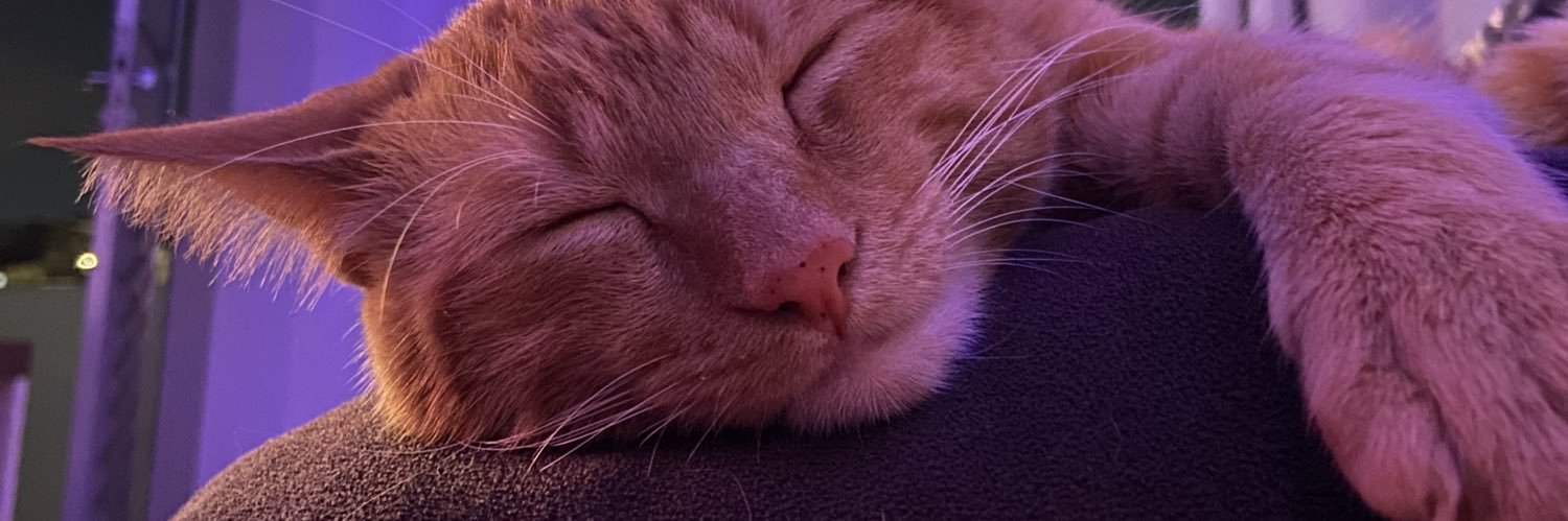 thiimel_'s profile banner image
