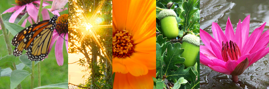 IMU Lifesurfing banner