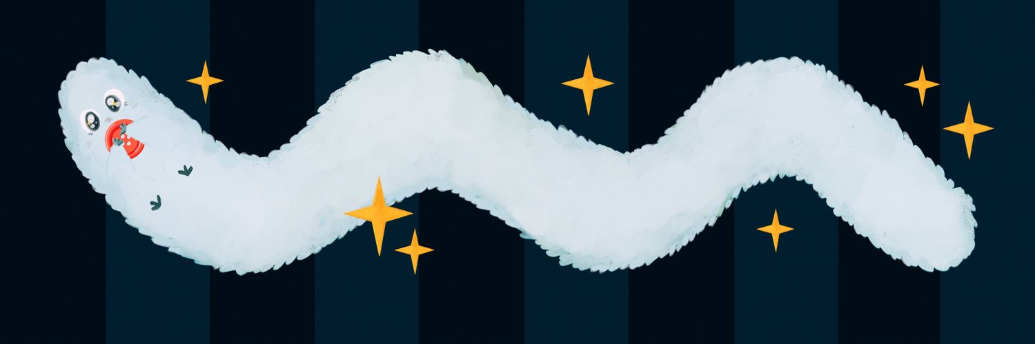 ✶ carmen ✶ banner