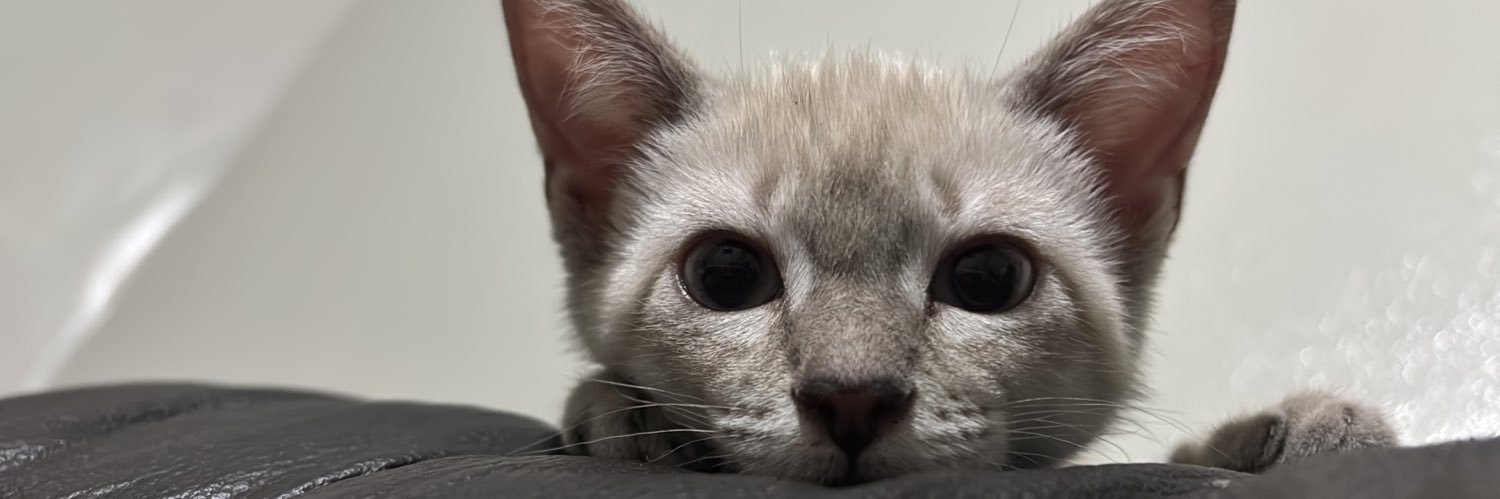 burnizada's profile banner image