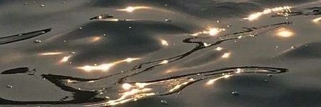 kolod399's profile banner image