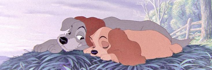 ・°☆ dumbO ꔚ's banner