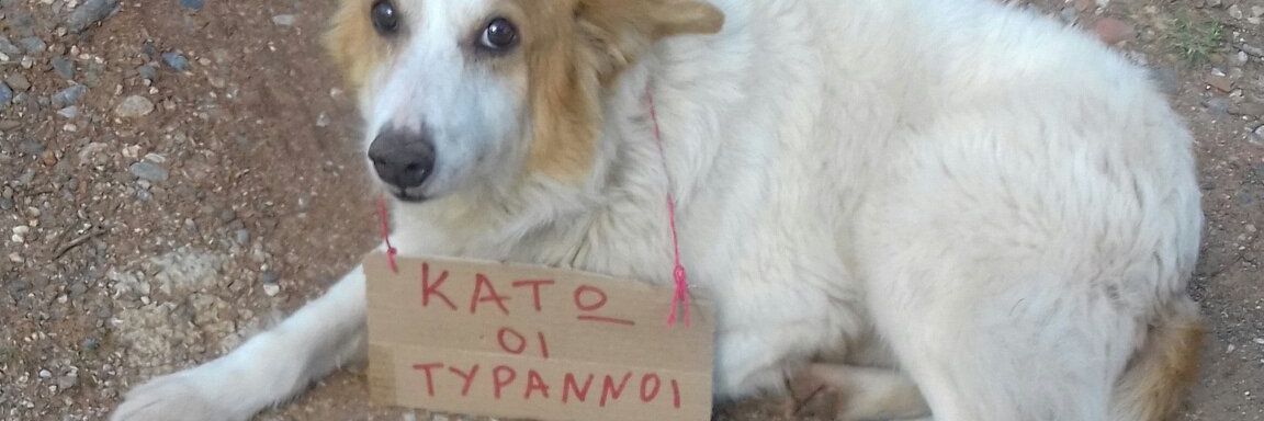 Μεσοεπιθετικος's banner
