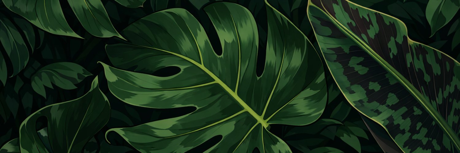 Allassea's profile banner image