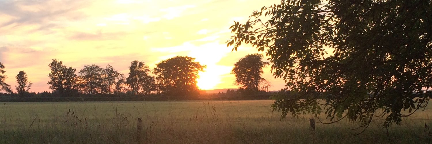 stronach_susan's profile banner image