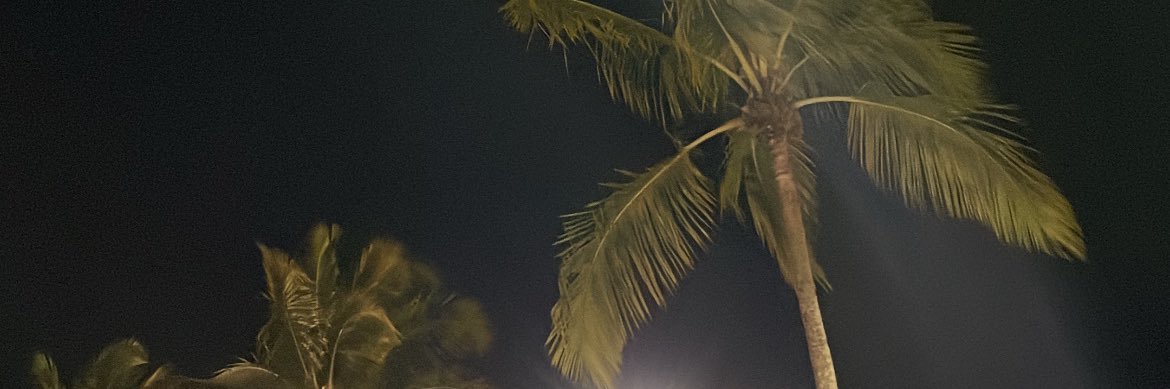 camicomdoisl's profile banner image