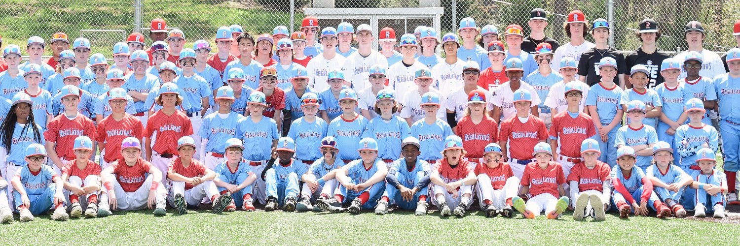 Regulators Baseball banner