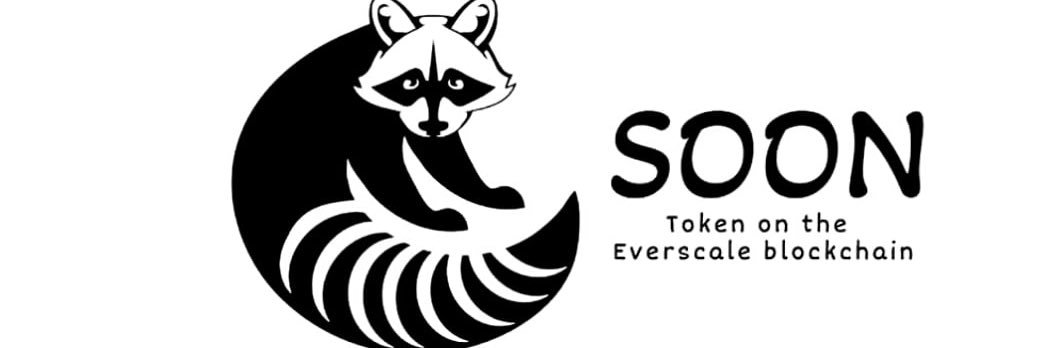 SOON_token's profile banner image